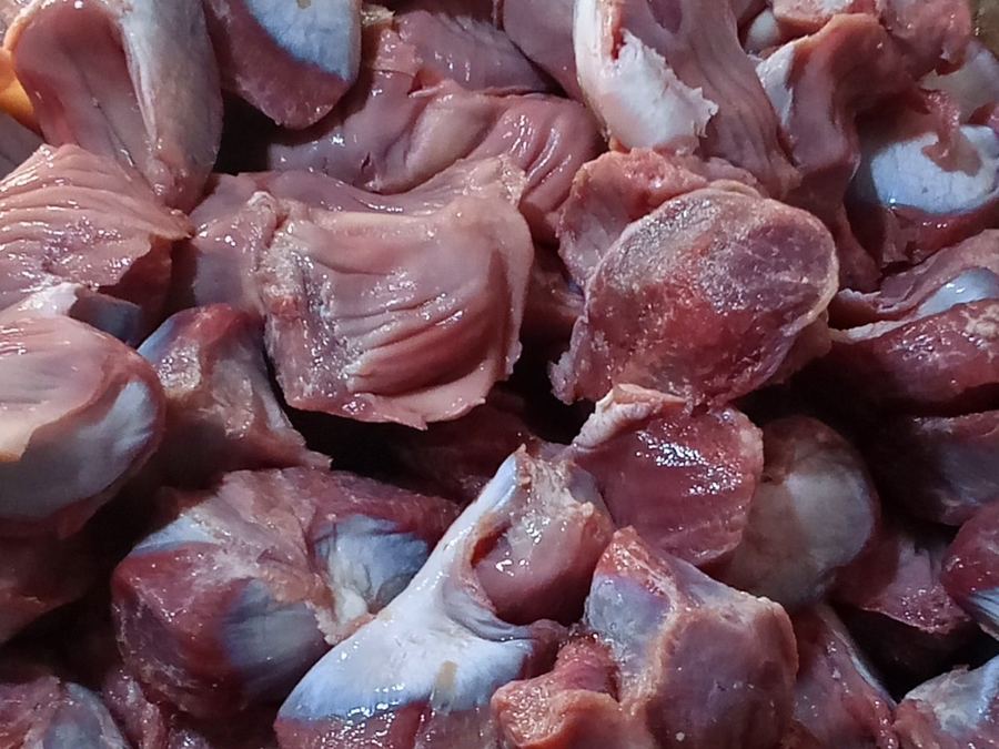 Turkey Gizzard