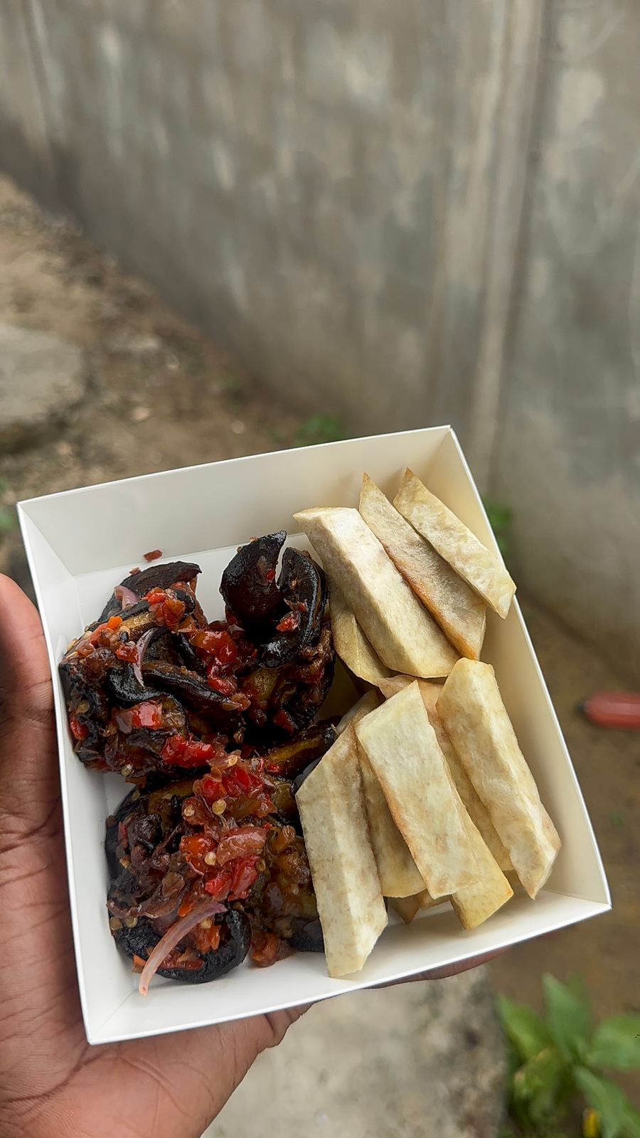 Yam fries & peppered snail