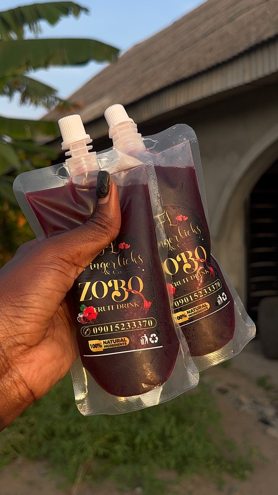 25cl pouch fruity zobo